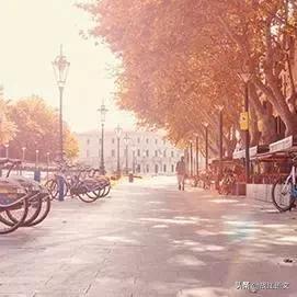 描写秋天的优秀作文100个字,描写秋天的作文优美句子摘抄