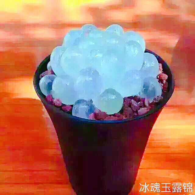 冰灯玉露防辐射彩色多肉植物,超大母本冰灯玉露多肉植物