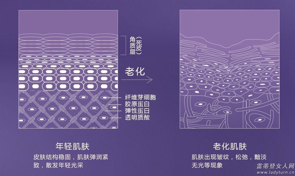 玻尿酸为什么价格差距那么大,便宜的玻尿酸跟贵的玻尿酸区别