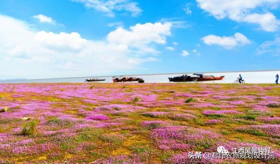 鄱阳湖候鸟保护区站长是谁,鄱阳湖候鸟江西都昌县