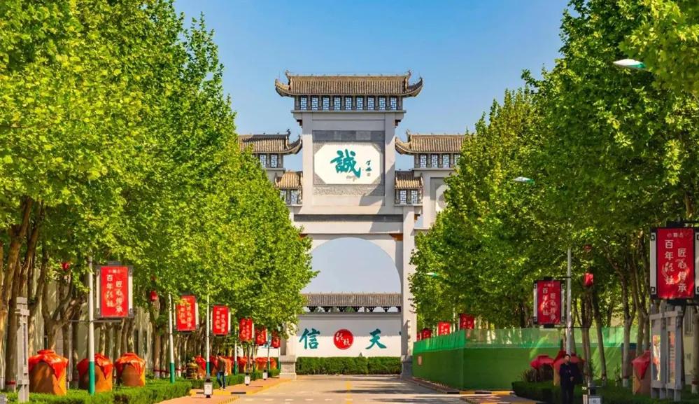 泥坑白酒净雅香,泥坑净雅香价格