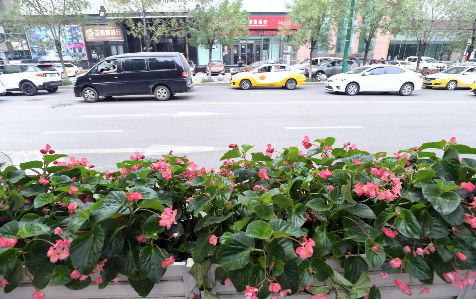 努力建设高质量发展高品质生活示范区和平一家人创卫攻坚忙