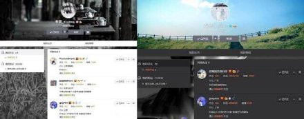 金大川雎晓雯婚后首同框,雎晓雯与金大川举办婚礼事件