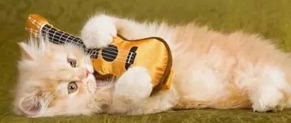 左手僵硬无力是怎么回事,左手伸不直有什么好办法吗