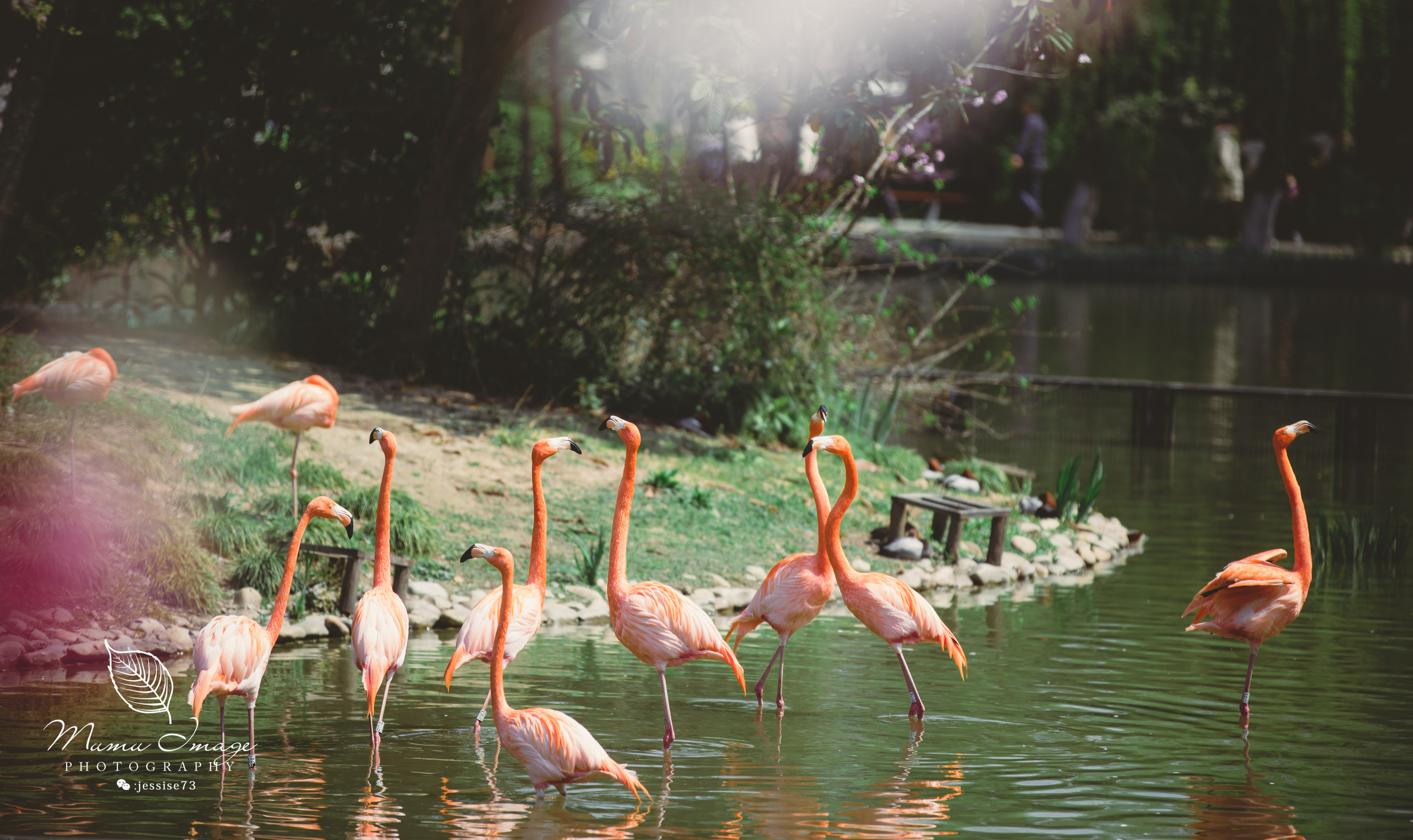 扬州是个不花钱的公园,扬州本地人最喜欢去的公园