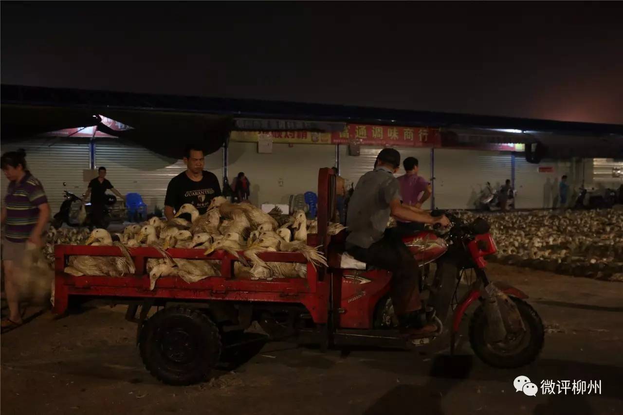 潮汕农历七月十四鬼节有哪些禁忌,农历鬼节风俗禁忌