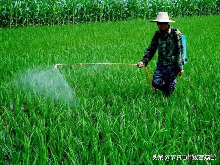 灭生性除草剂行业现状如何,灭生性除草剂原药涨幅