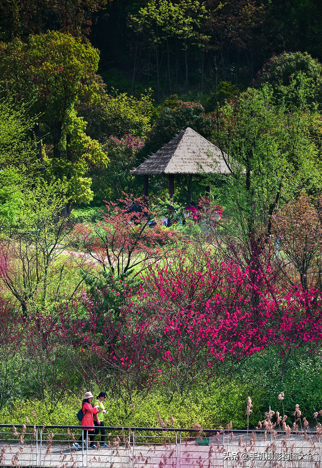 拍出好照片的简单摄影技巧,专业摄影技巧如何拍摄出精美照片