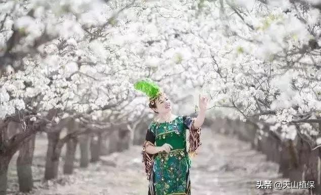 *疆新**库尔勒彻底火了！登上央视让世界瞩目，为库尔勒而骄傲