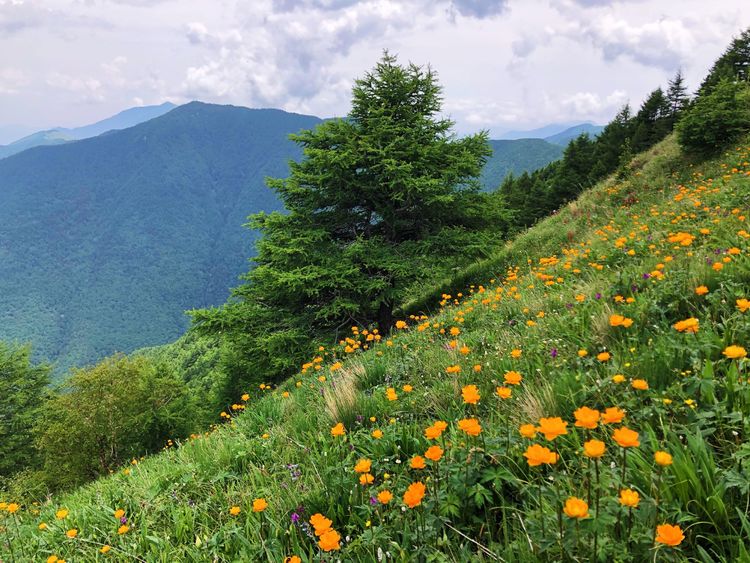 小五台山哪里进入景区,小五台山春天景色