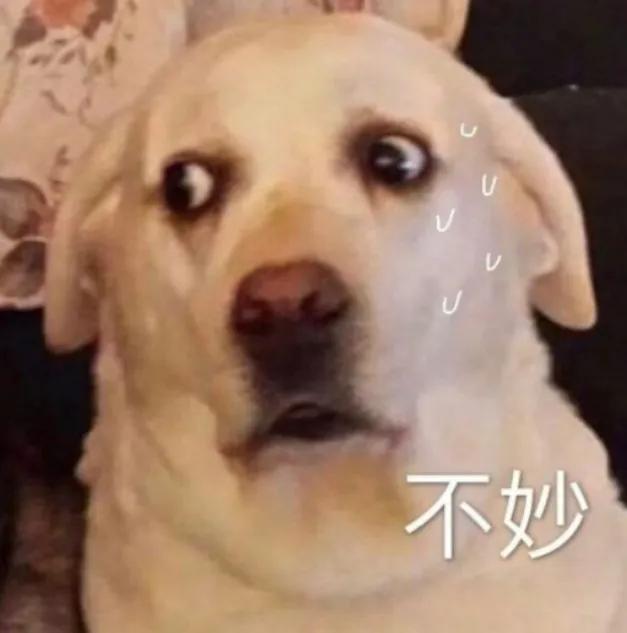 考驾照到底有多难科目一,考驾照有多难