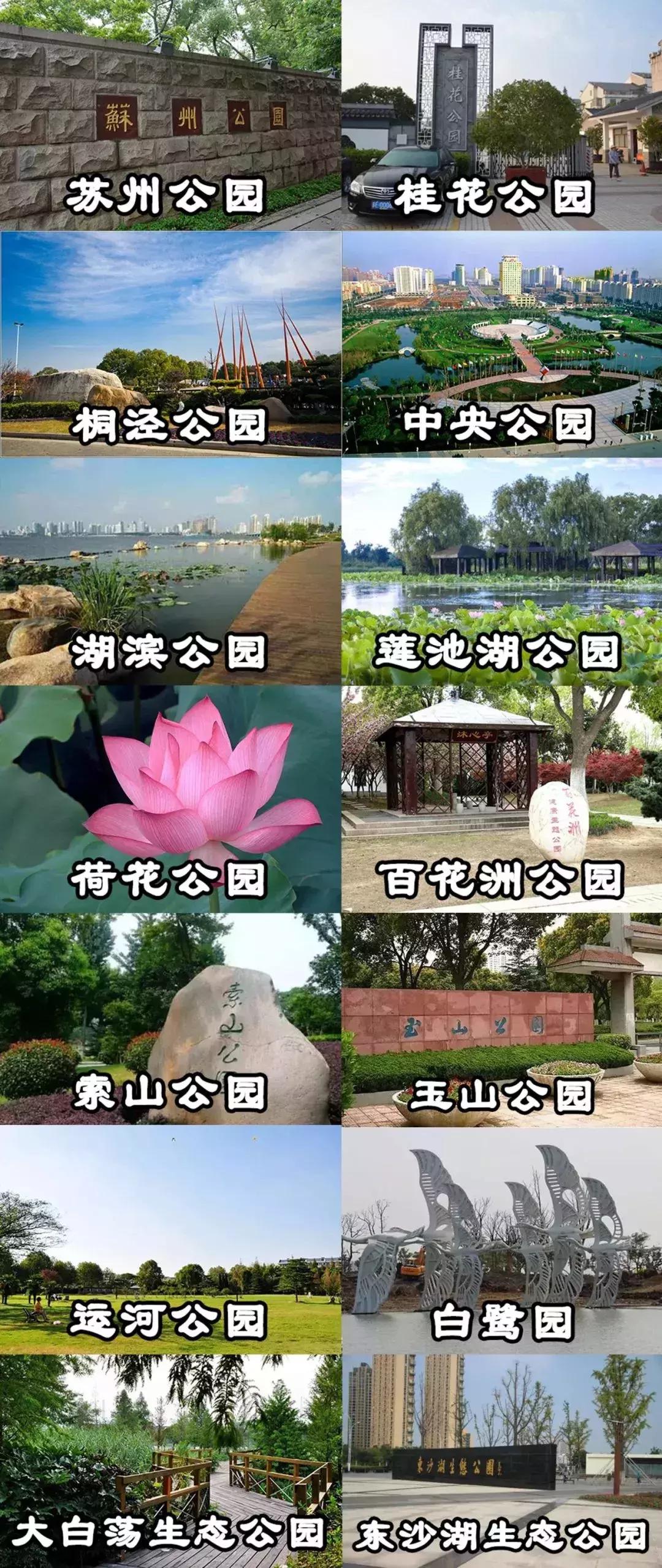 2020最强苏州旅游攻略出炉,来看看苏州到底有多强