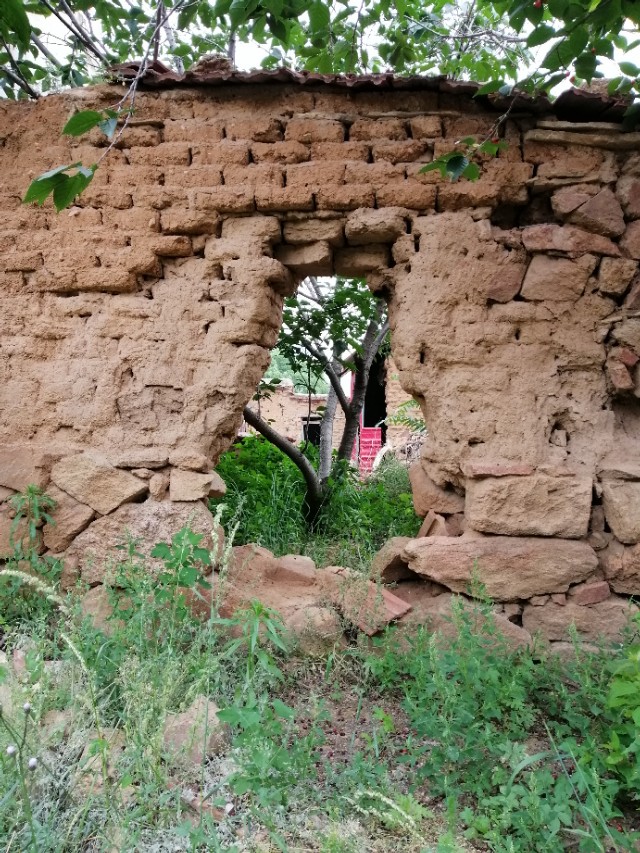 $.97.樱桃时节赴龙潭