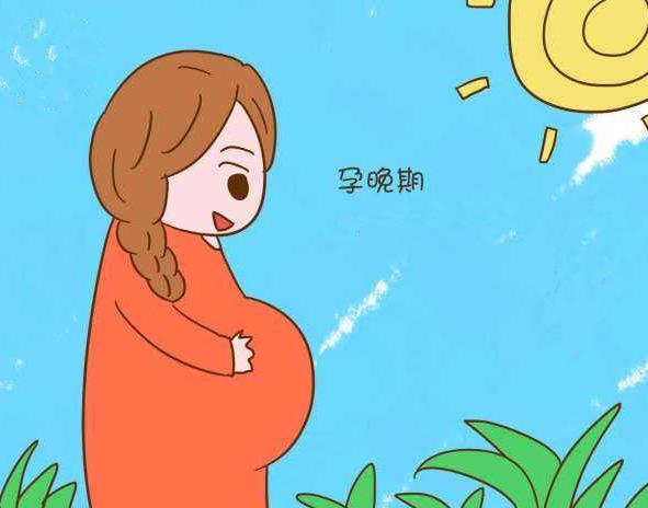 怀孕晚期做点什么好,怀孕晚期做什么有助于顺产