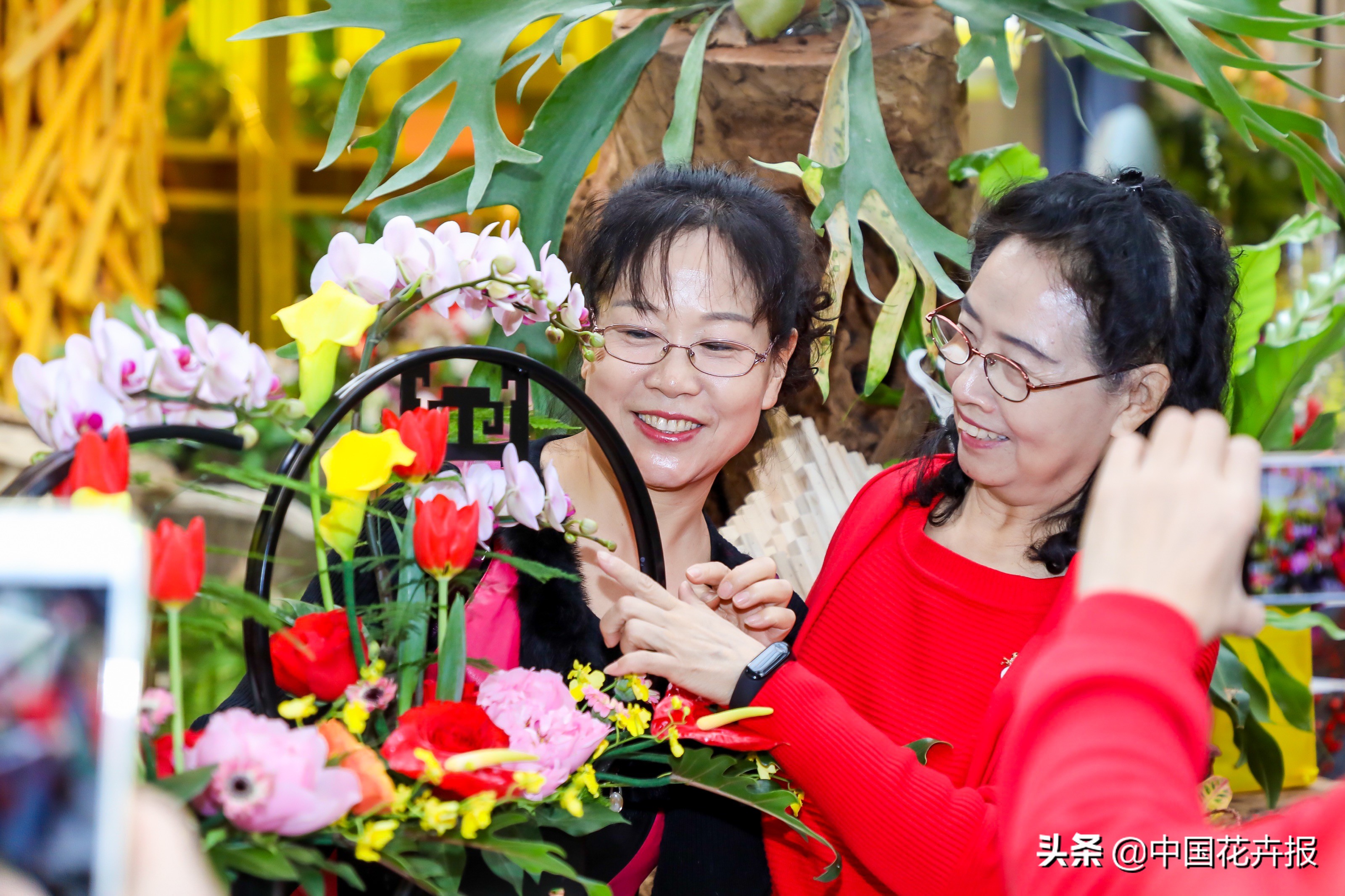 北京迎春花展,北京春季花展时间表