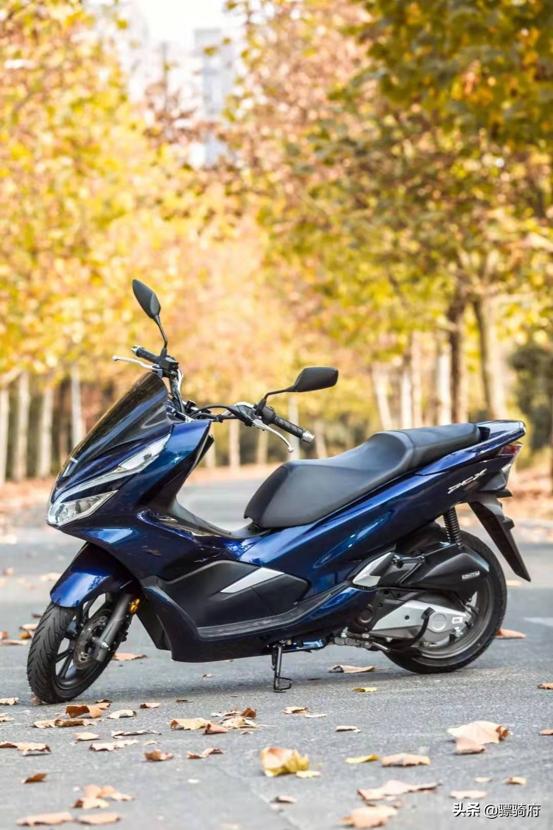 五羊本田PCX150，比亚乔medley150，DRG158三款高端踏板车横评