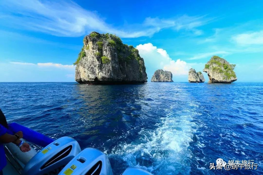 巨蜥像退休大爷休闲漫步；满海的活珊瑚、海葵…国家公园开岛啦