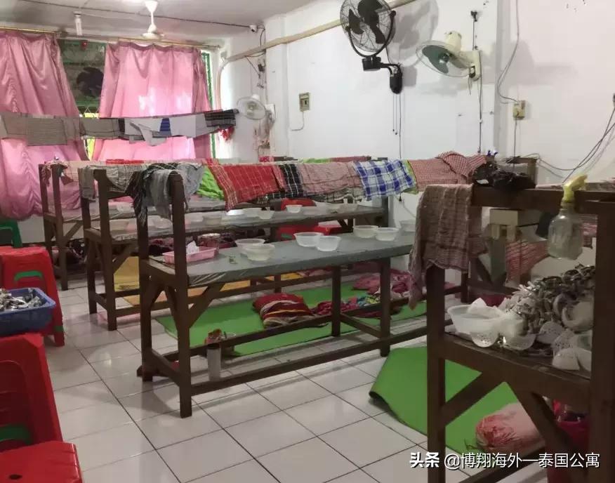 泰国燕窝比马来好些吗,印尼燕窝和马来西亚燕窝区别