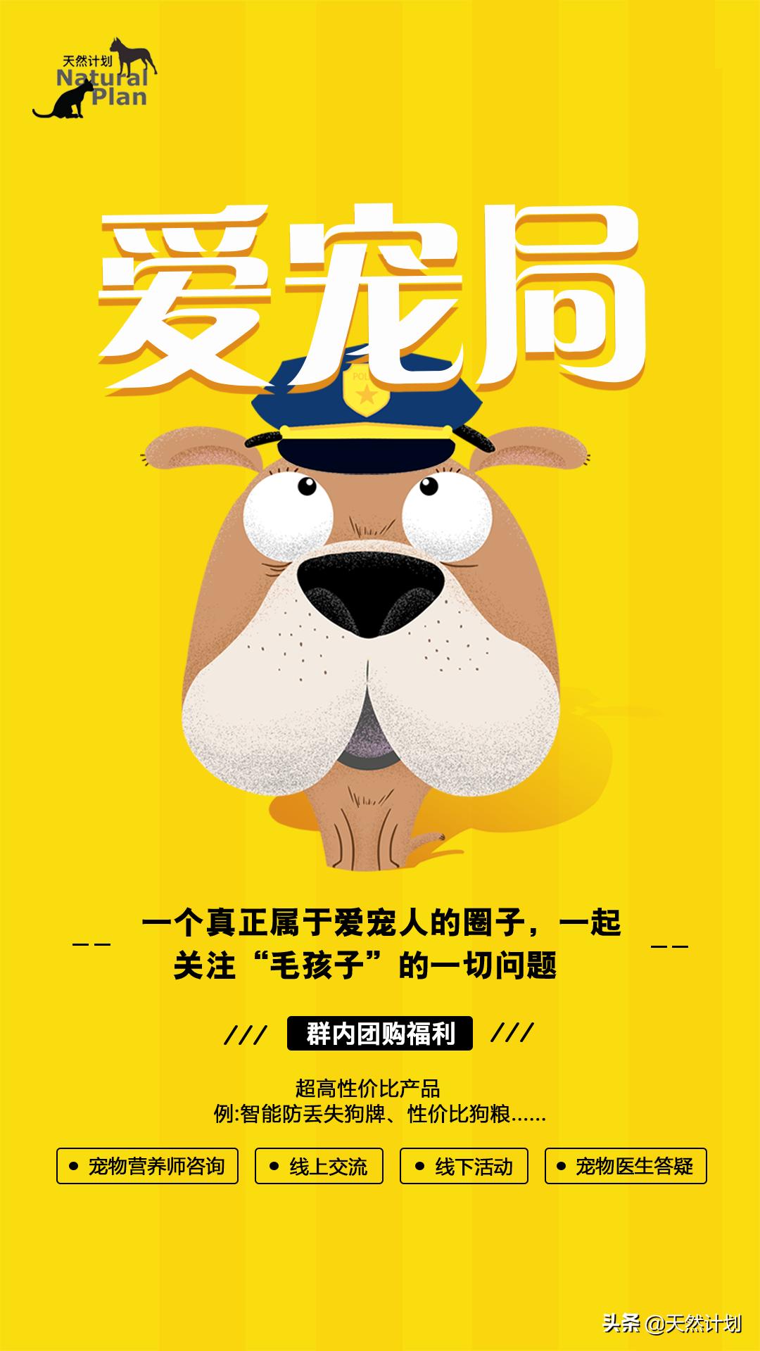 小狗警惕性高吠叫,宠物胆小