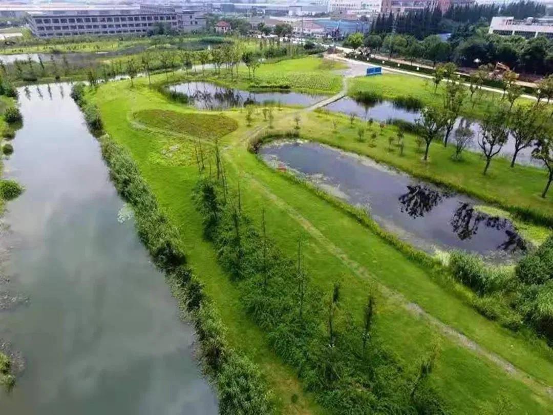 大局已定完整版视频,大局已定静待时机