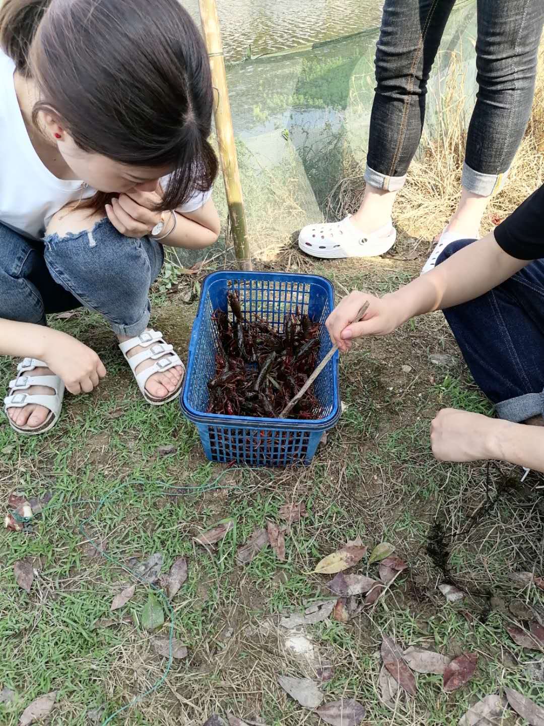 长沙周边农家乐排行榜前十名,长沙最好玩的农家乐