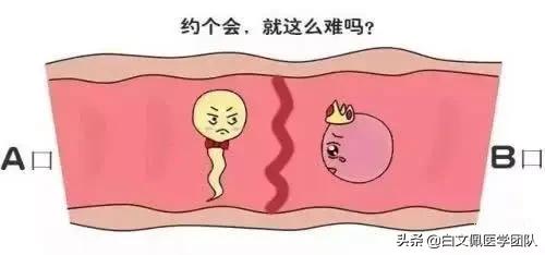 治疗输卵管性不孕重点在“通”