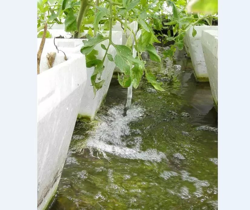 二培箱安装视频教程,池氏二培