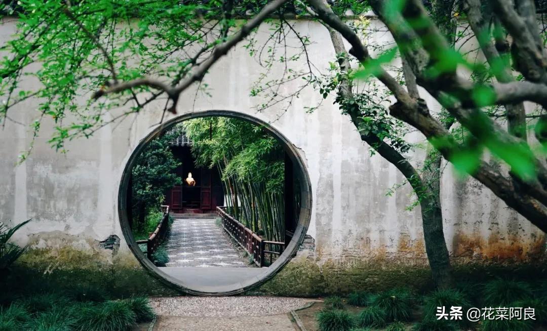 留园拙政园哪个景色好,留园和拙政园