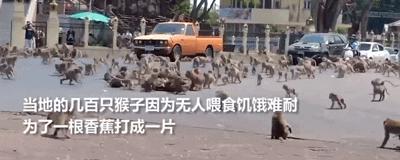 泰国旅游业迎来复苏,泰国旅游业再次陷入低谷