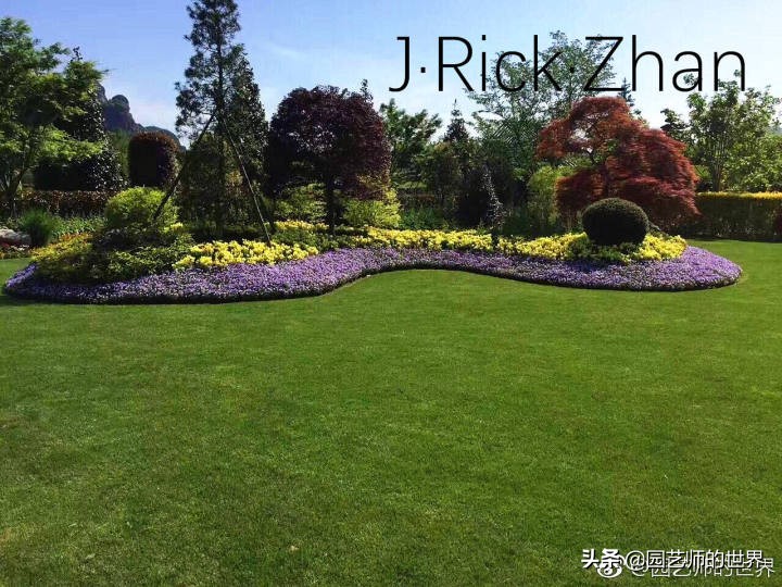 怎样种植草坪技术,果岭草坪的种植养护方法及技巧