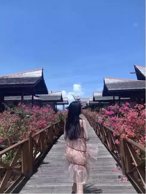 纽约留学女，邀我去50楼高档公寓看日出，怎么破？