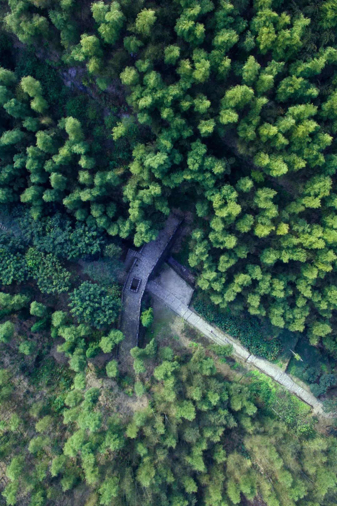 浙江的西南角，竟然藏着一片“大好江山”？
