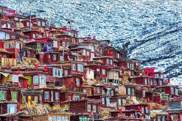 色达下雪了红白交织,色达下雪了图片大全