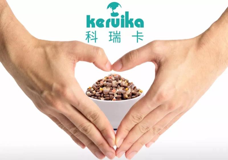 猫咪晚上不睡觉要怎么办,猫咪晚上不睡觉怎么办