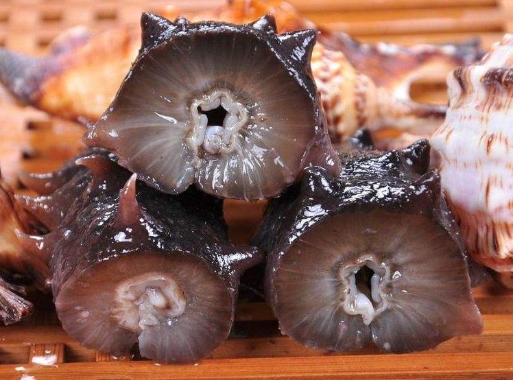 怎样鉴别真假海参的方法,怎么才能辨别是真假海参