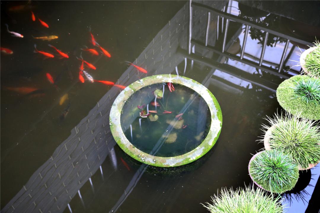 江阴人少景美,江阴有哪些人文景观