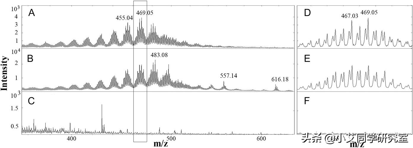 世界上要怎样才能重新复活恐龙,用琥珀复活恐龙动画