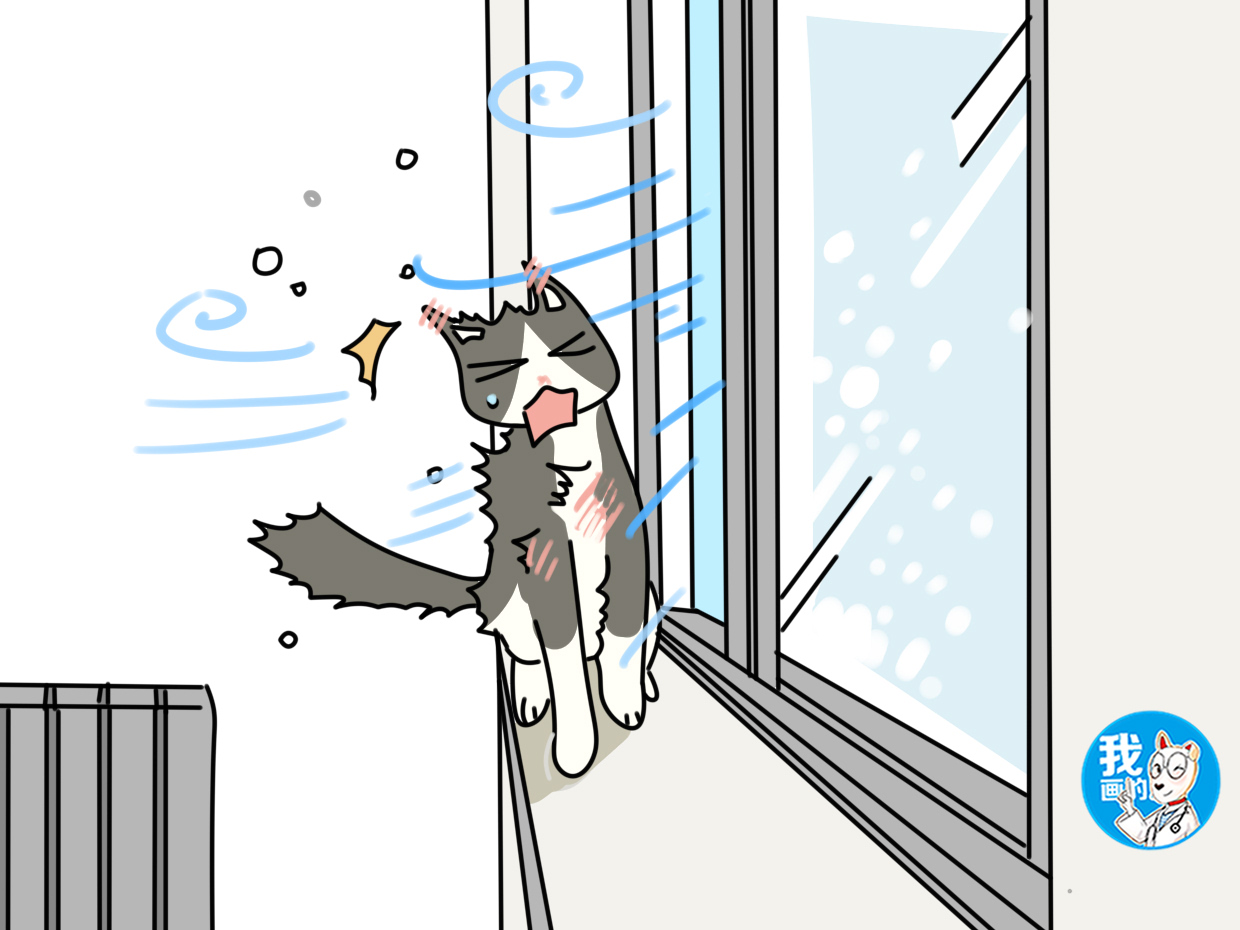 猫咪室内温度多少就怕冷了,辟谣猫鹦鹉热