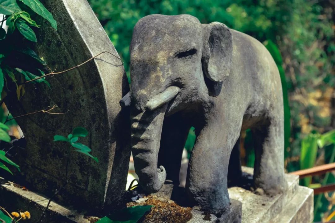 在清迈逛夜市感受泰国人慢生活,去清迈享受放下脚步的慢生活