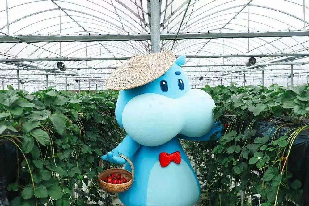 盒马鲜生的战略定位,盒马阿里巴巴零售通