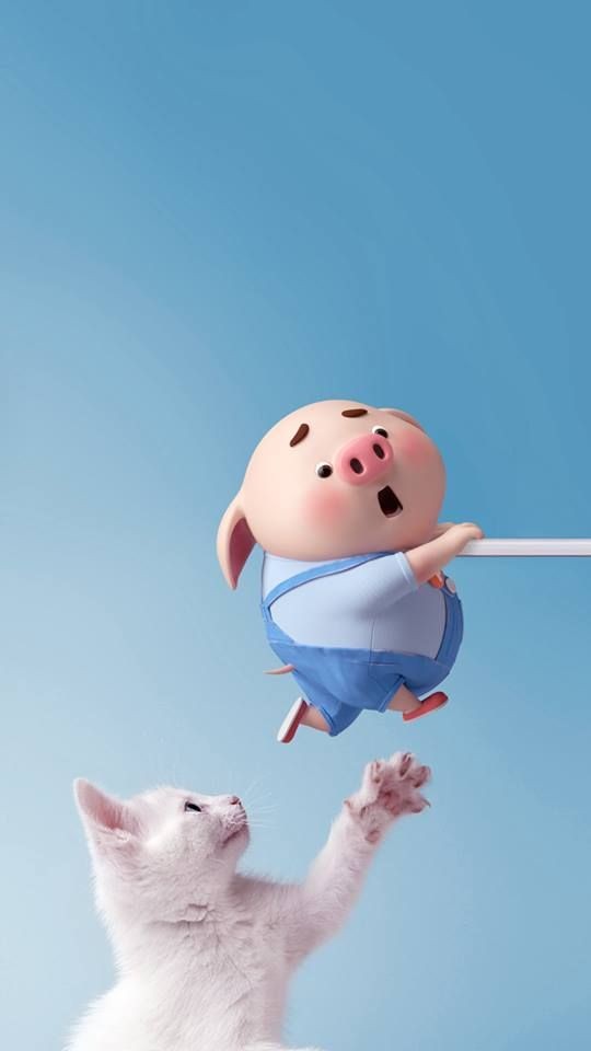 手机壁纸可爱猪猪,可爱情侣猪猪图片高清壁纸