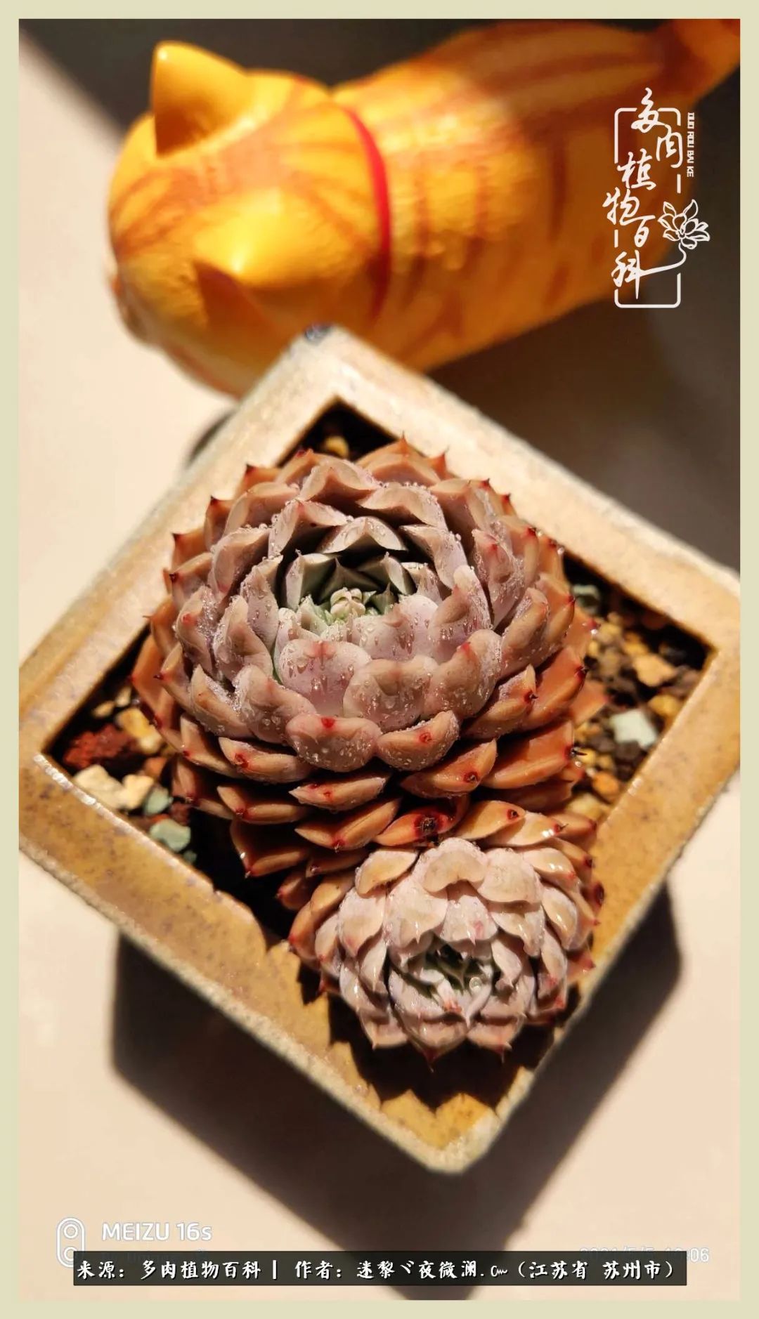 秋尽冬来岁月不居时节如流,岁月不居时节如流水