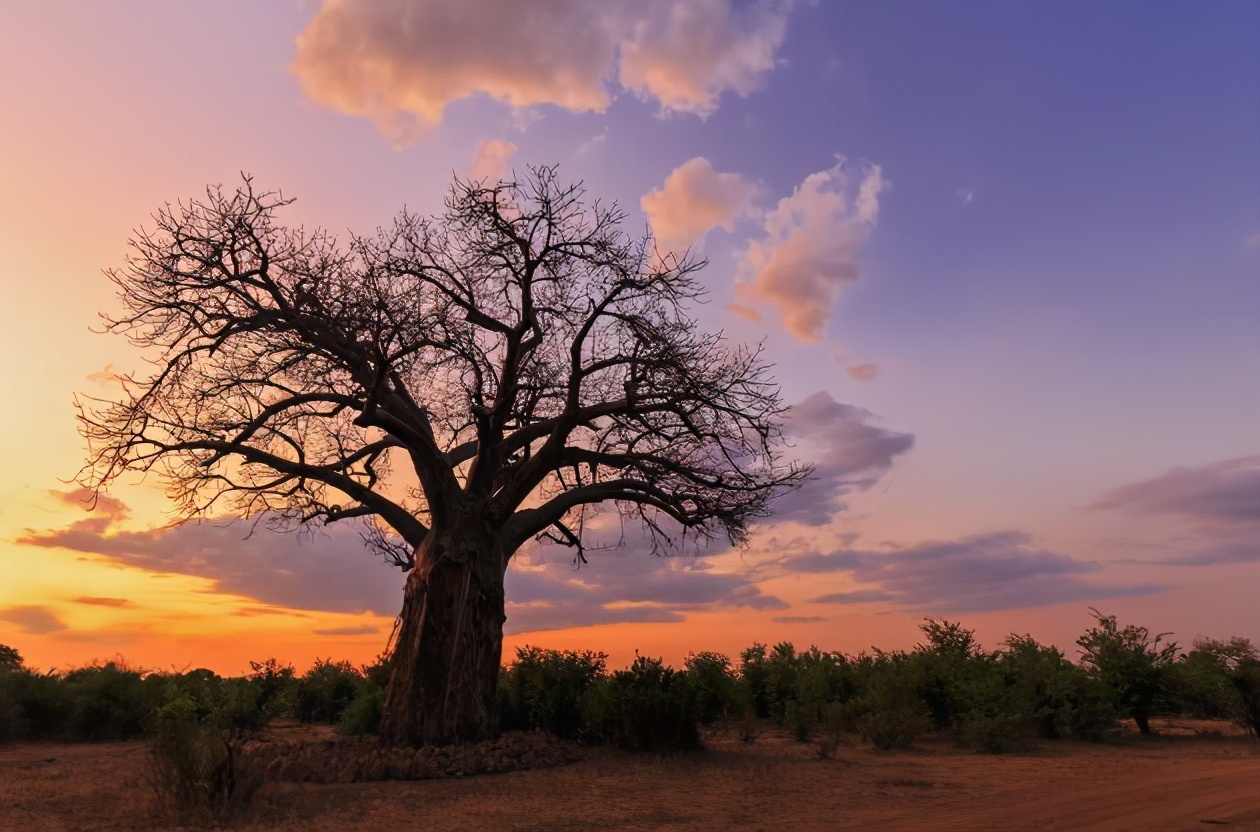 一个家家都是“亿元户”的非洲穷国——津巴布韦