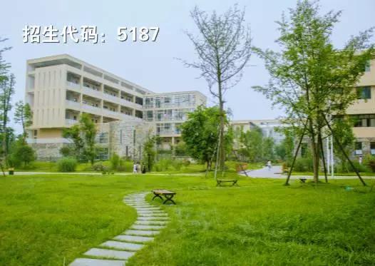 专科也能上名校,专科也可以教中职吗