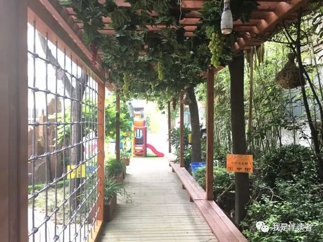 中原区公立幼儿园,郑州市中原区私立幼儿园怎么报名