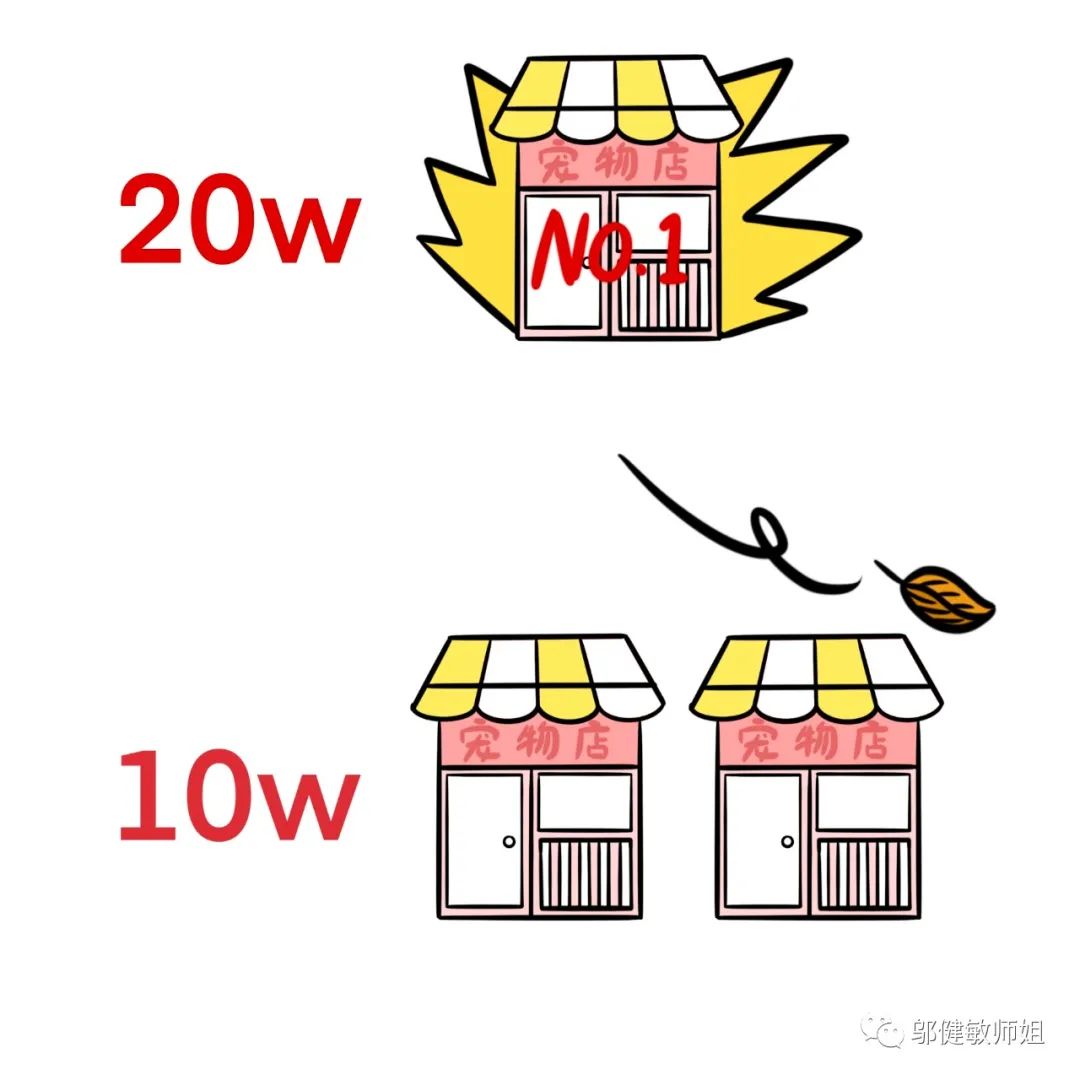 为什么现在开个宠物店那么难,宠物店不会告诉你的行业内幕