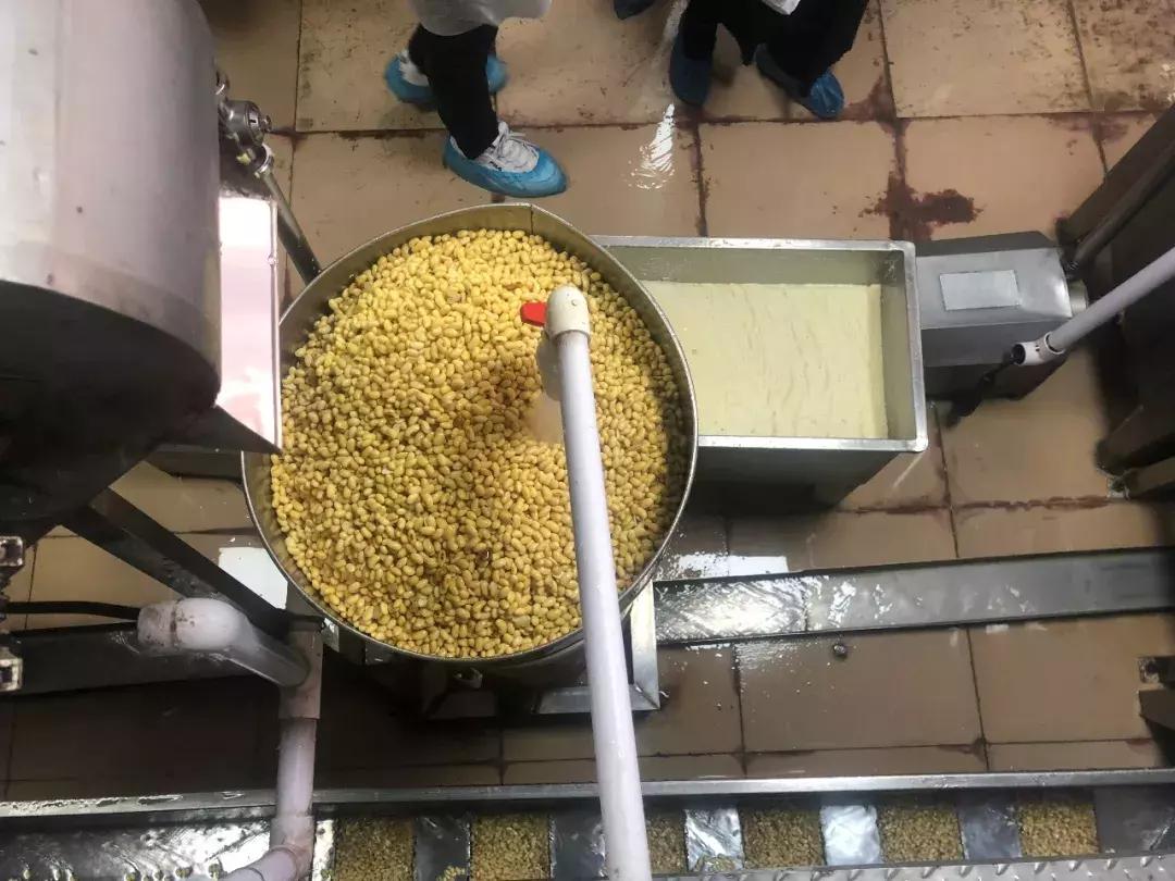 深圳豆制品生产小作坊,突查小作坊