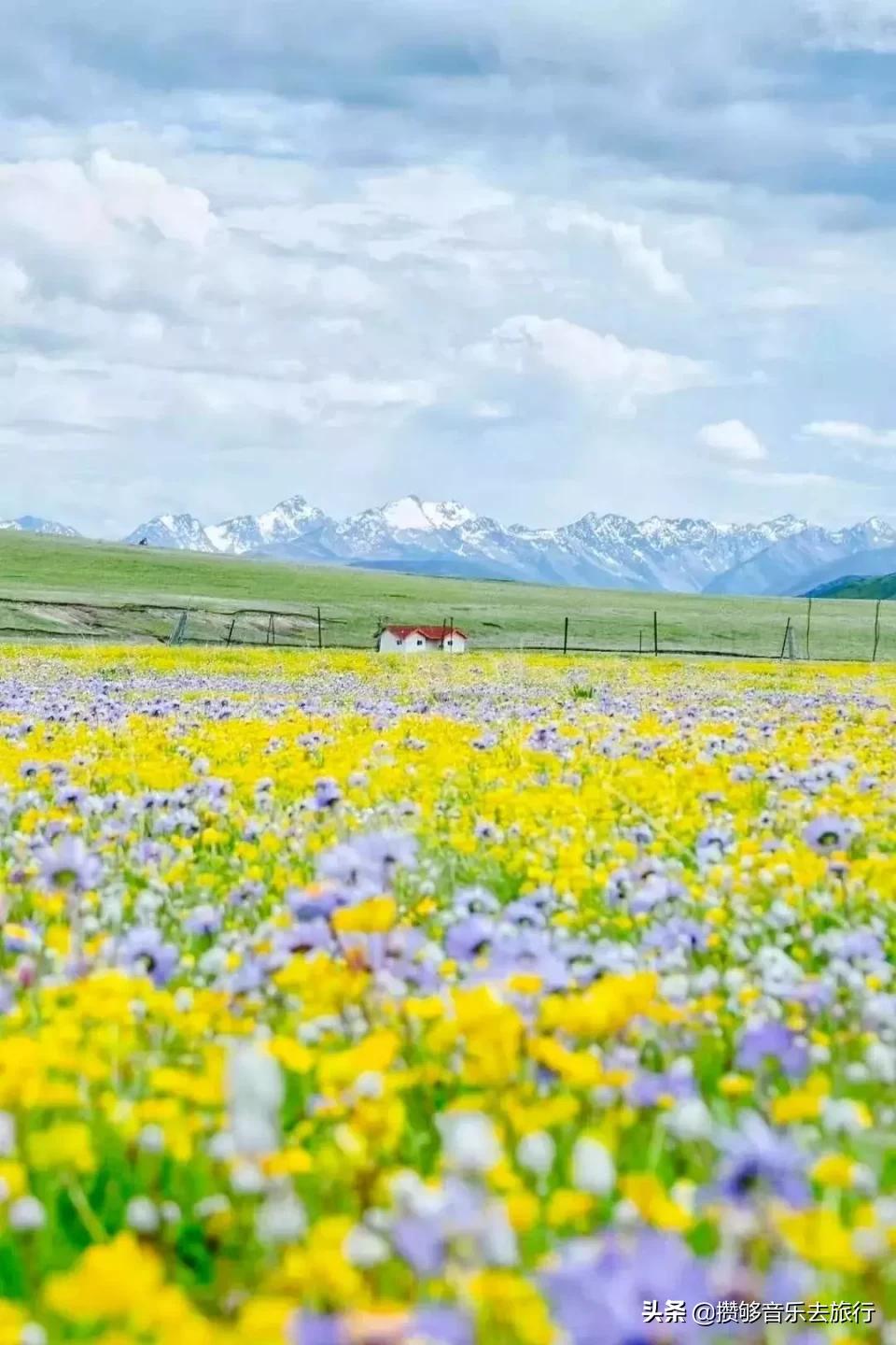 甘孜欢迎您,四川甘孜州欢迎您