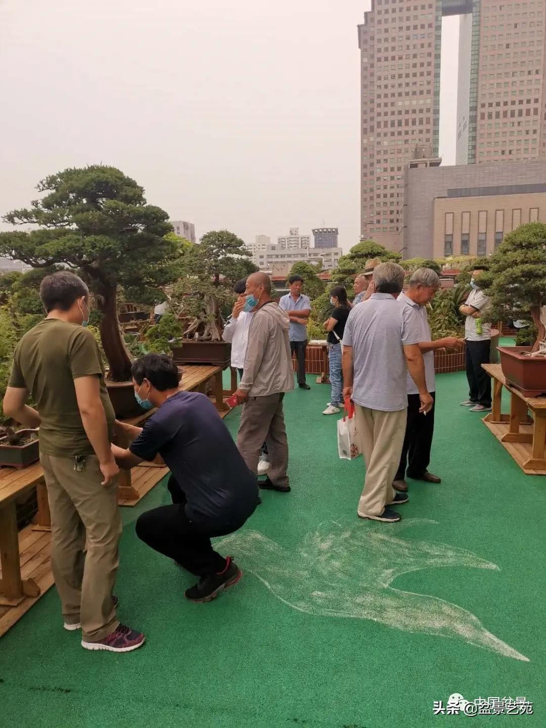 涓浗钁楀悕鐩嗘櫙澶у笀绮惧搧鐩嗘櫙,鐩嗘櫙鑹烘湳瀹跺拰鐩嗘櫙鑹烘湳澶у笀