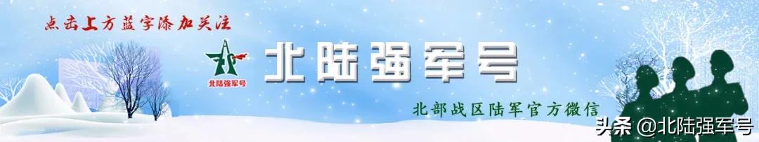 军营里的双胞胎兄弟,双胞胎兄弟真假教官
